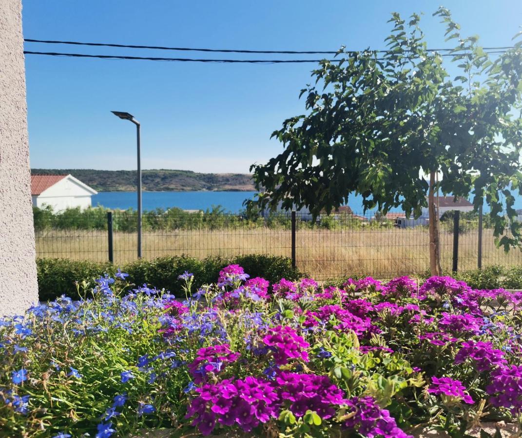 Apartmani Darko Rtina Εξωτερικό φωτογραφία